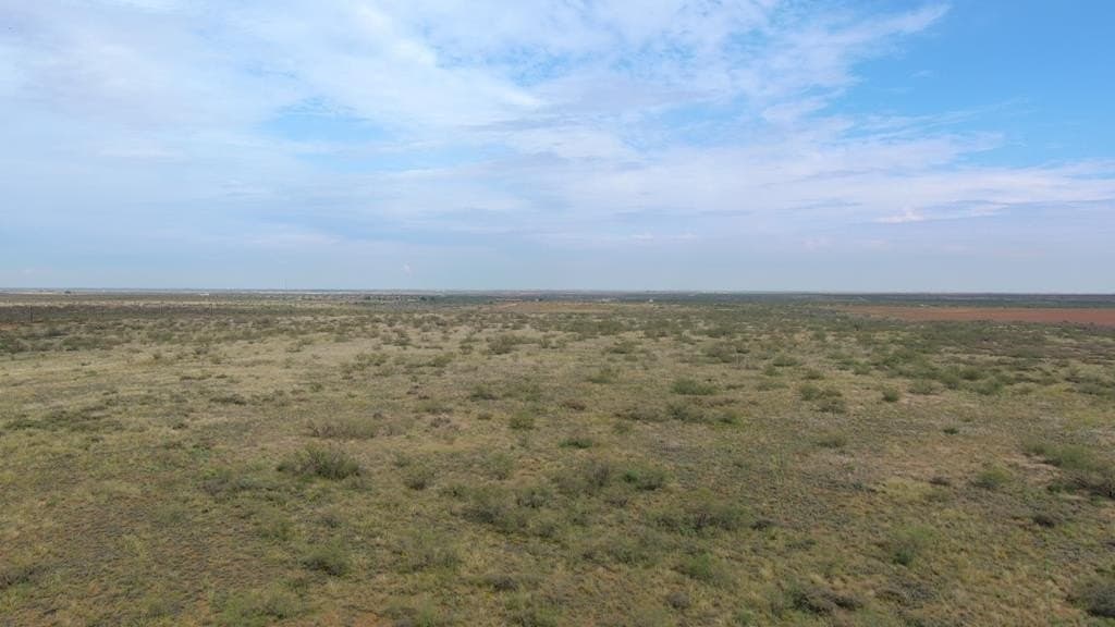 80 acres in Midland County - photo 13