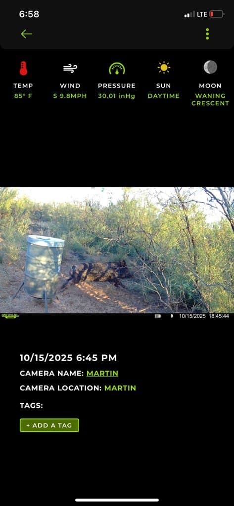 80 acres in Midland County - photo 17