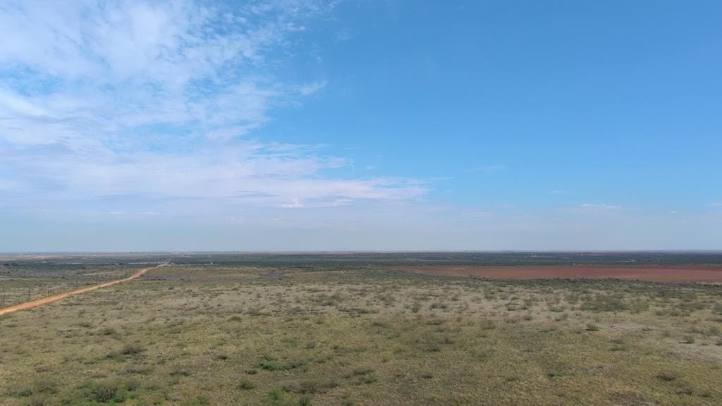 80 acres in Midland County - photo 12