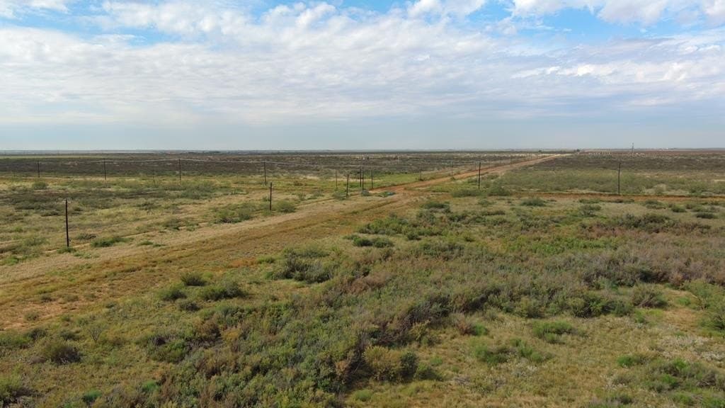80 acres in Midland County - photo 14