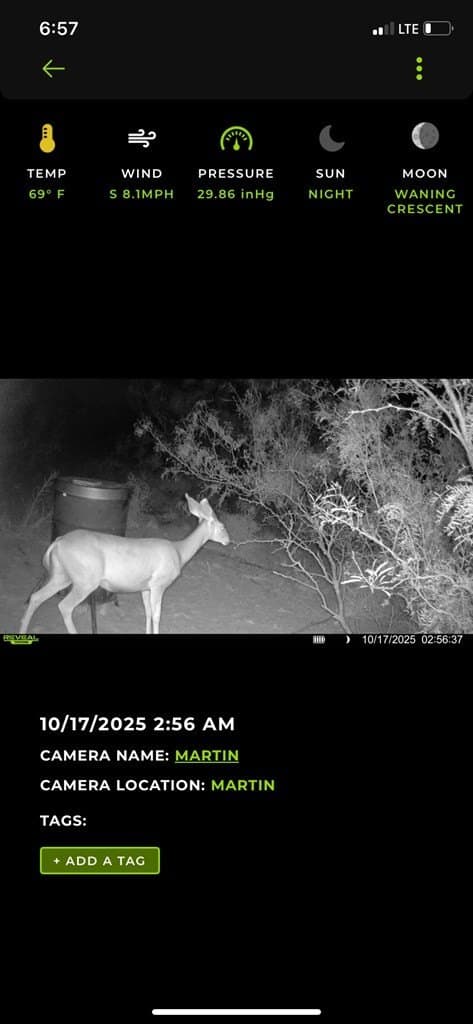 80 acres in Midland County - photo 18