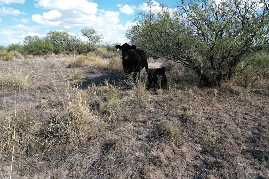 20 acres in Hudspeth County - photo 5