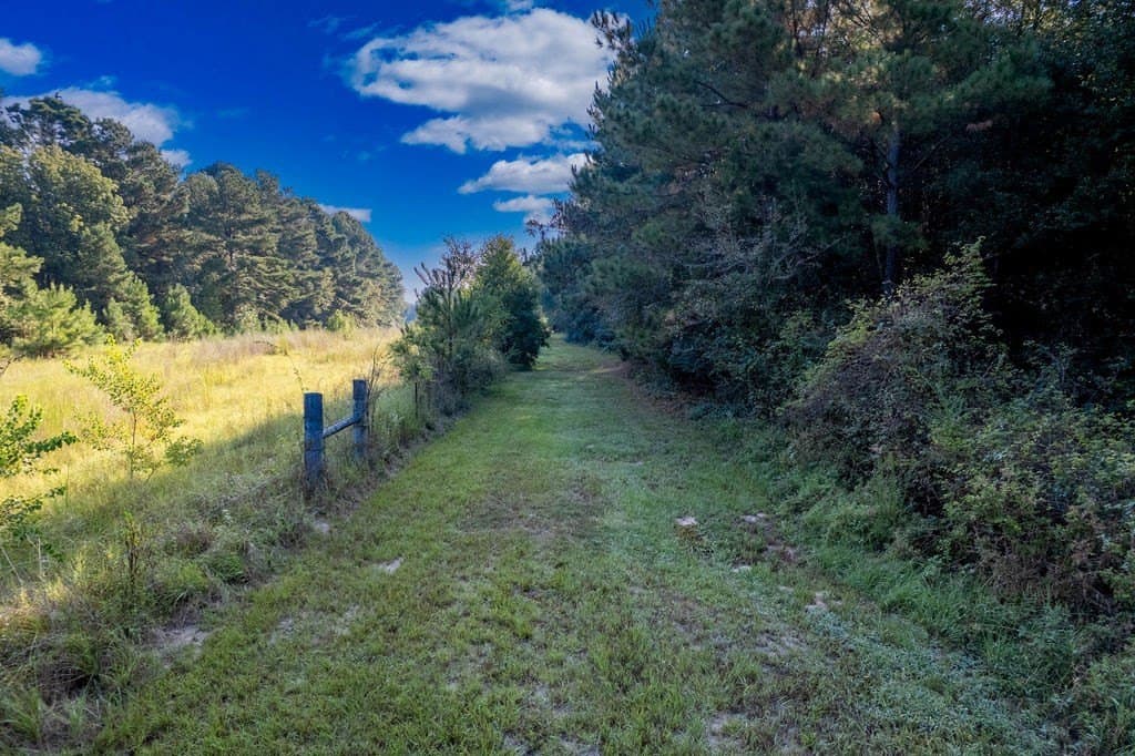 39.96 acres in ANDERSON County - photo 4