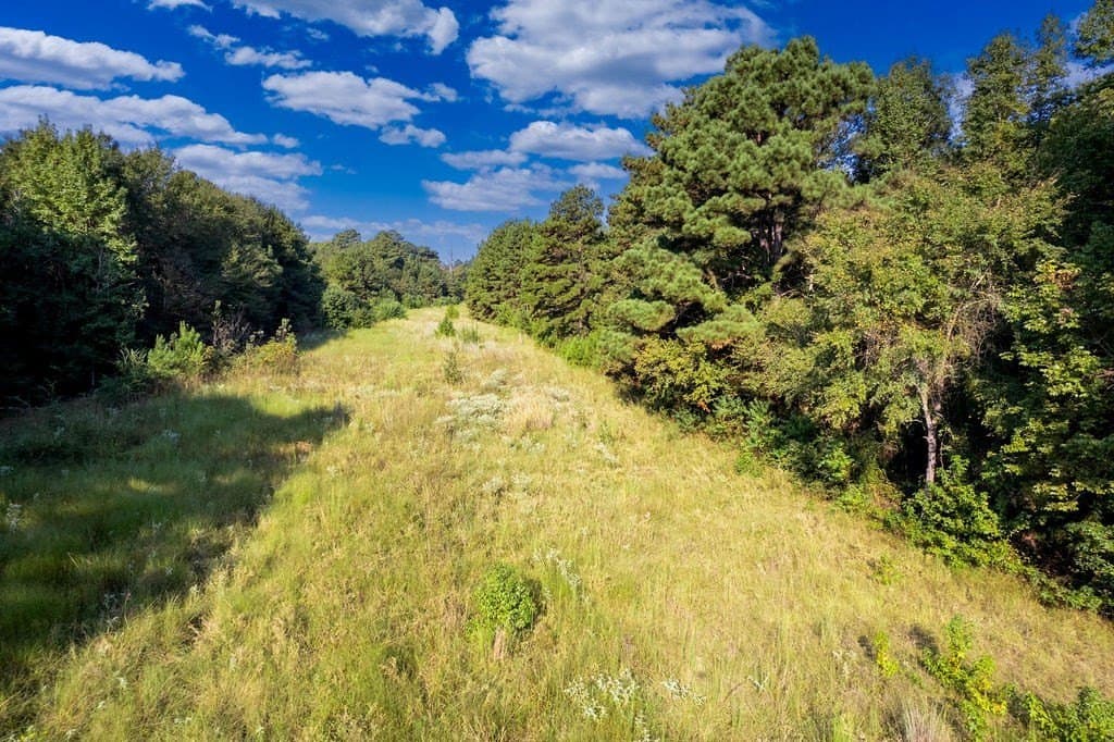 39.96 acres in ANDERSON County - photo 7