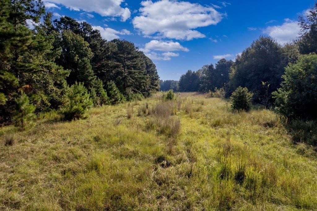 39.96 acres in ANDERSON County - photo 5