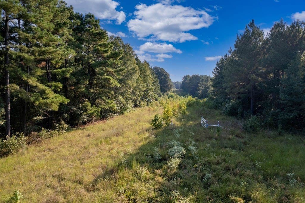 39.96 acres in ANDERSON County - photo 6
