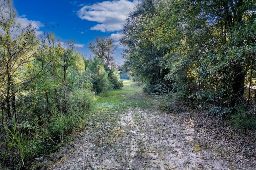 39.96 acres in ANDERSON County - photo 2