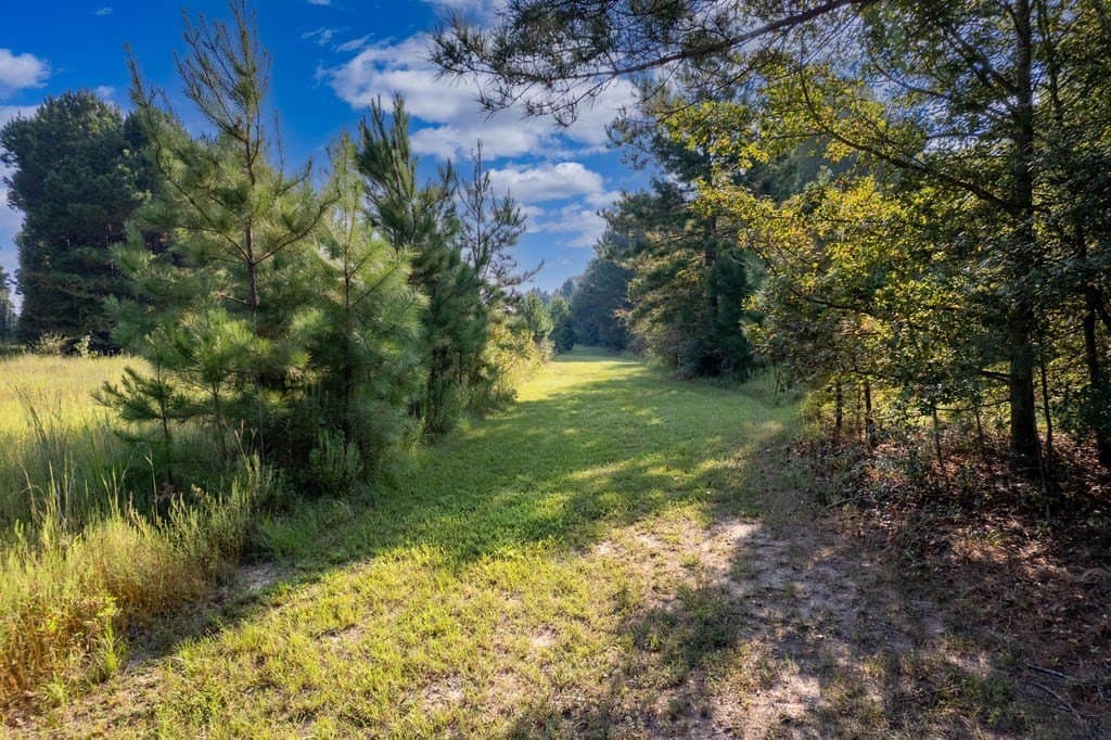 39.96 acres in ANDERSON County - photo 3