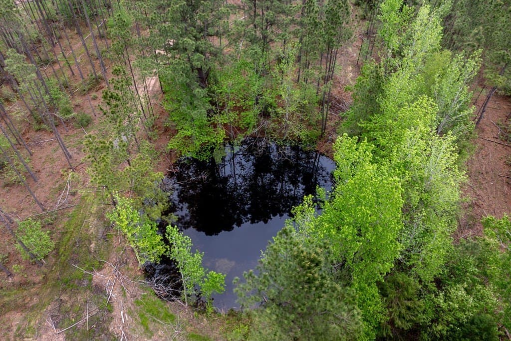 109.88 acres in HOUSTON County - photo 22