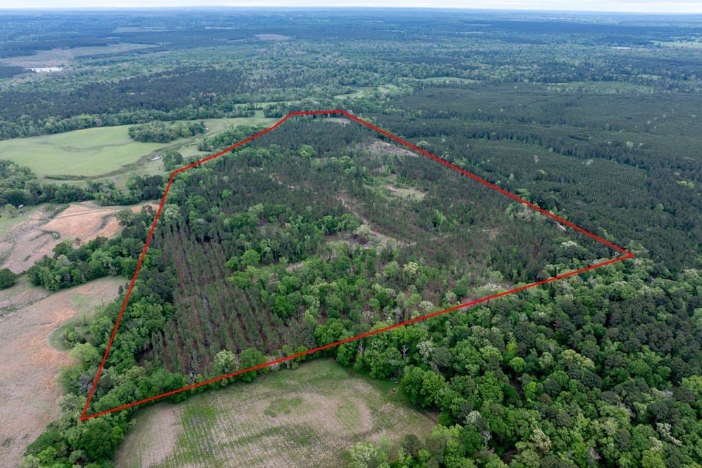 109.88 acres in HOUSTON County - photo 5