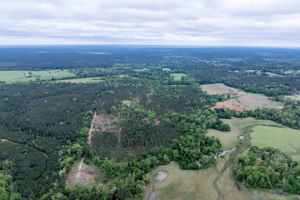 109.88 acres in HOUSTON County - photo 16
