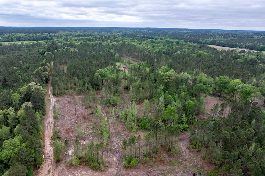 109.88 acres in HOUSTON County - photo 20