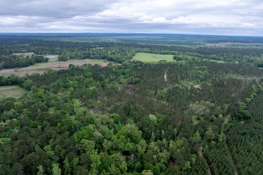 109.88 acres in HOUSTON County - photo 25