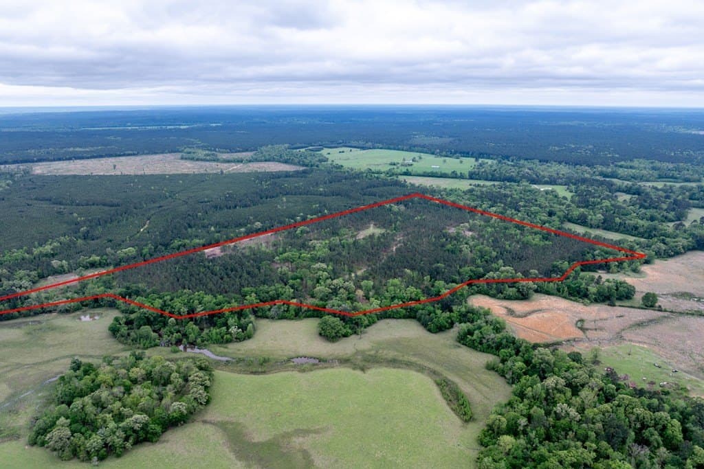 109.88 acres in HOUSTON County - photo 11