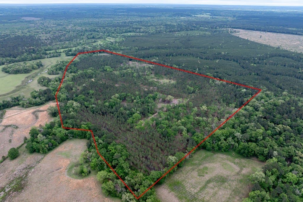 109.88 acres in HOUSTON County - photo 7