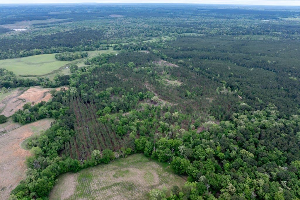 109.88 acres in HOUSTON County - photo 6