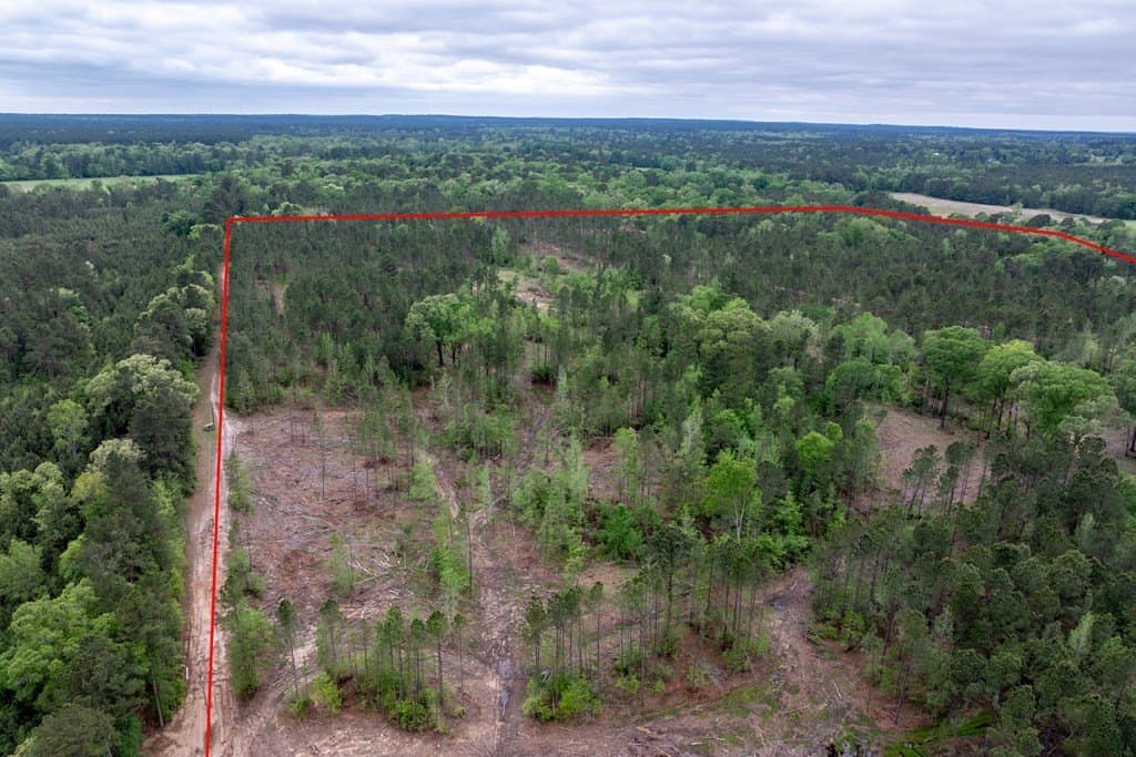 109.88 acres in HOUSTON County - photo 19
