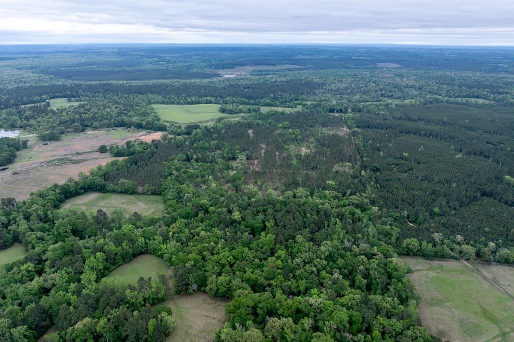 109.88 acres in HOUSTON County - photo 2