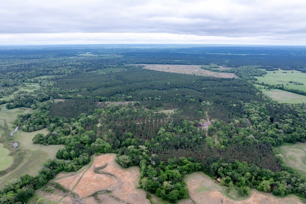 109.88 acres in HOUSTON County - photo 10
