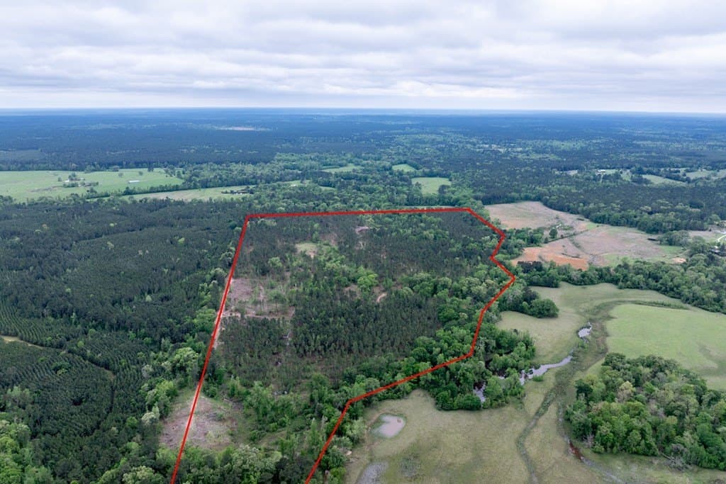 109.88 acres in HOUSTON County - photo 15