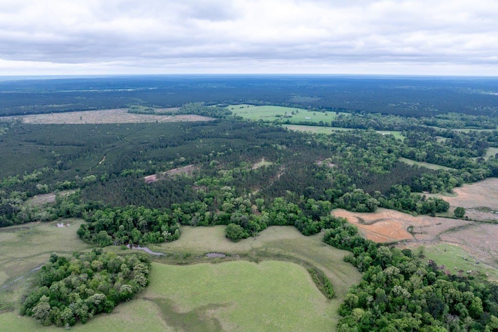109.88 acres in HOUSTON County - photo 12