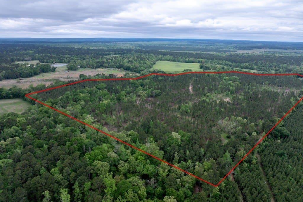 109.88 acres in HOUSTON County - photo 24
