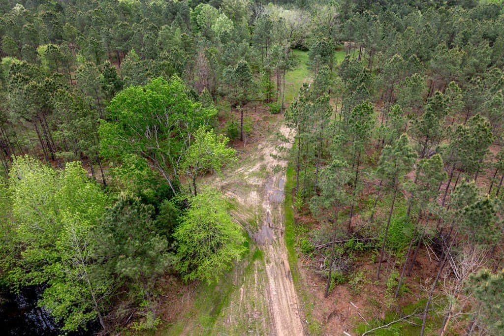 109.88 acres in HOUSTON County - photo 23