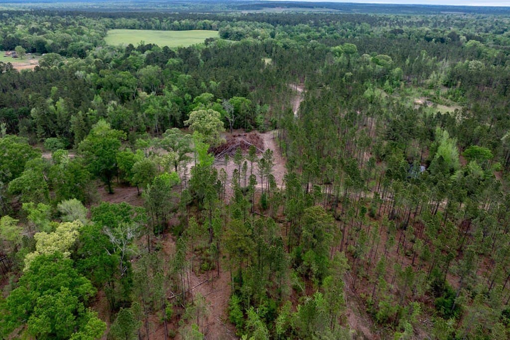 109.88 acres in HOUSTON County - photo 21