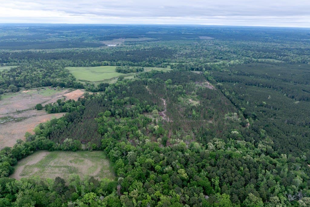 109.88 acres in HOUSTON County - photo 4
