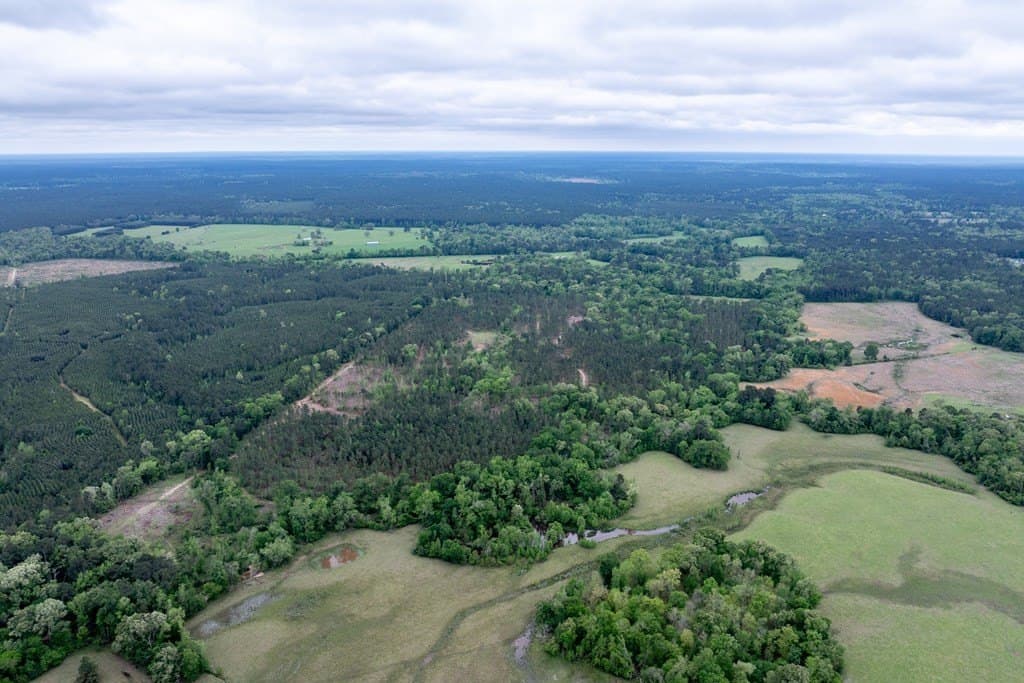 109.88 acres in HOUSTON County - photo 14