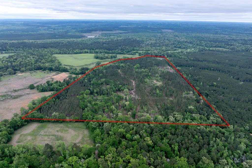109.88 acres in HOUSTON County - photo 3