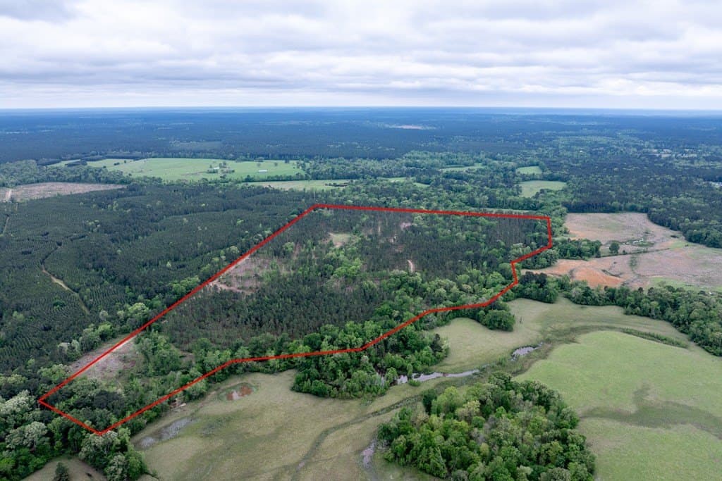 109.88 acres in HOUSTON County - photo 13