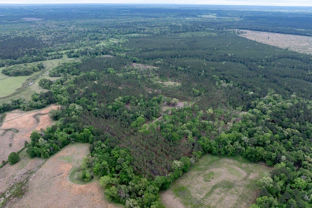 109.88 acres in HOUSTON County - photo 8