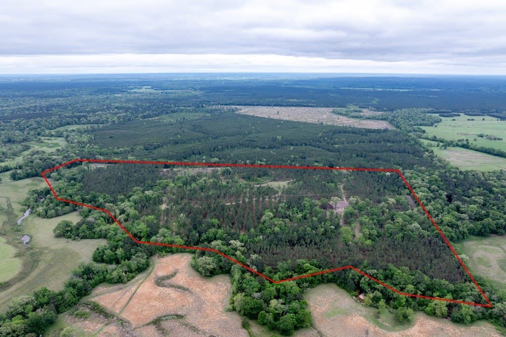 109.88 acres in HOUSTON County - photo 9