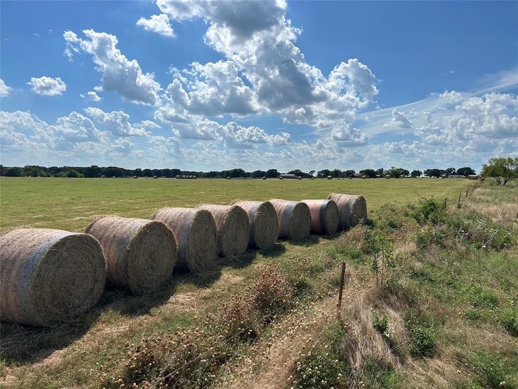 20 acres in Montague County - photo 8