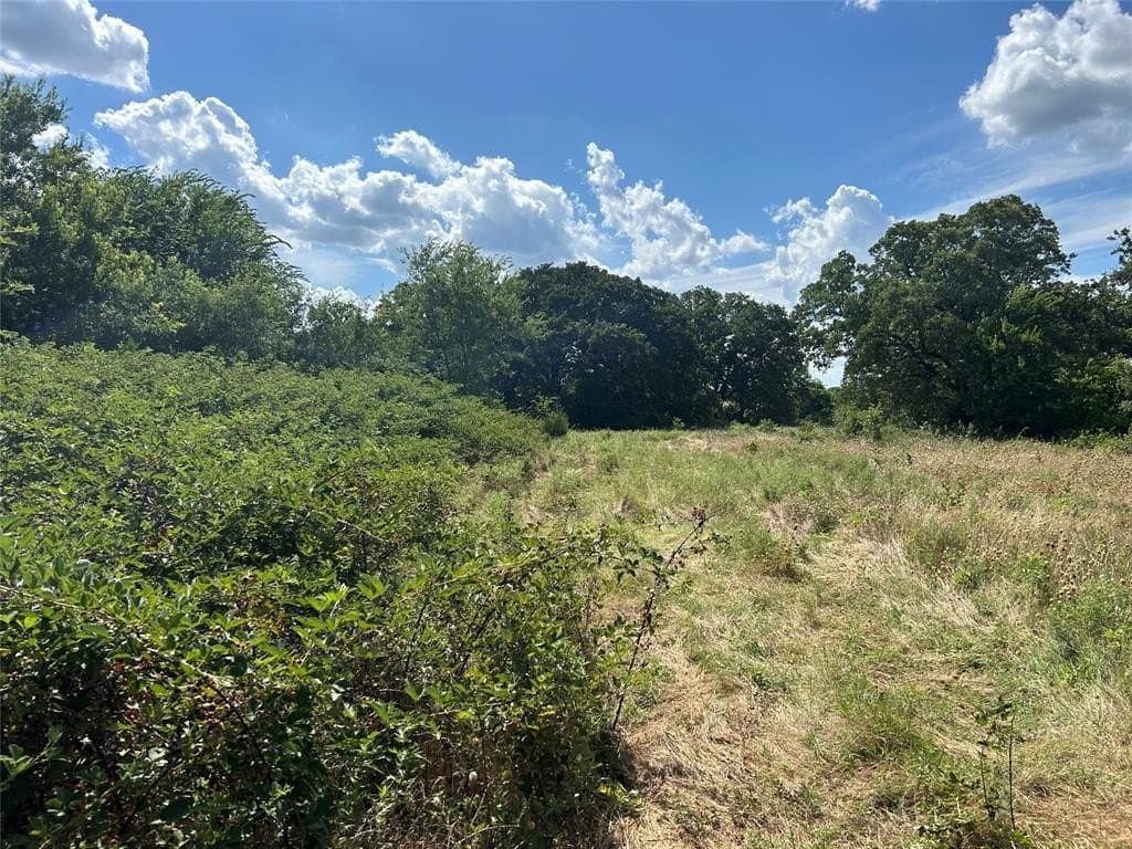 20 acres in Montague County - photo 7
