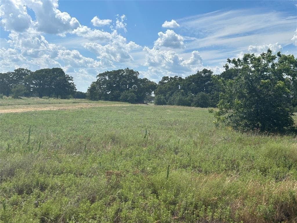 20 acres in Montague County - photo 4