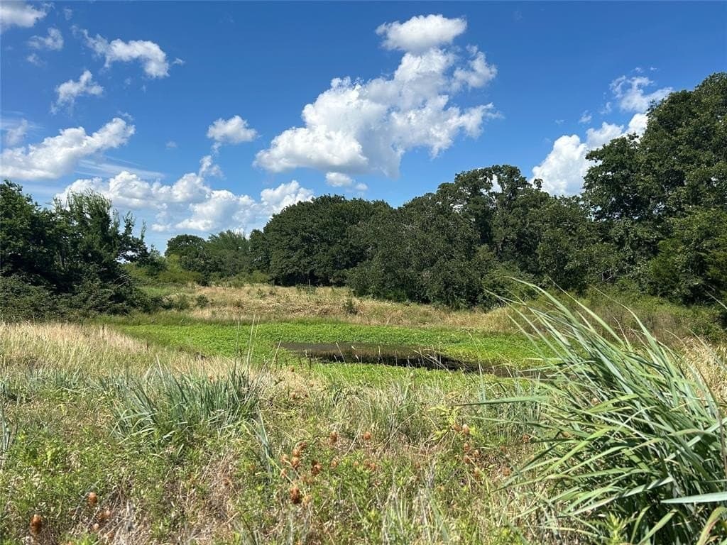 20 acres in Montague County - photo 5