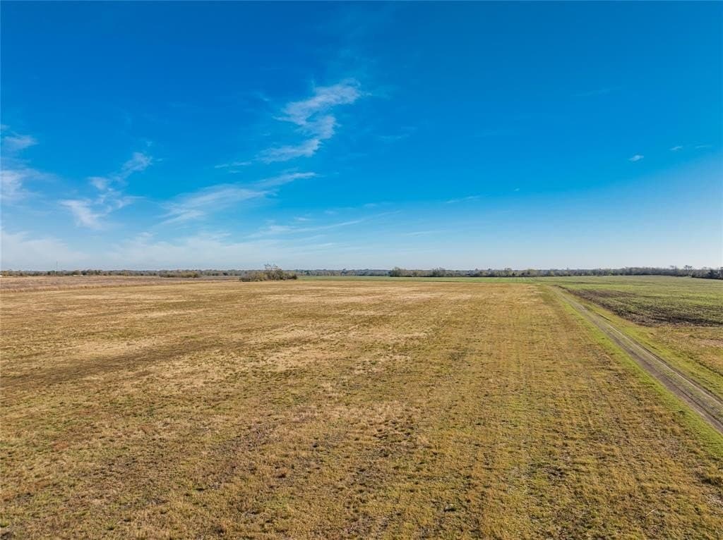 25 acres in Lamar County - photo 10