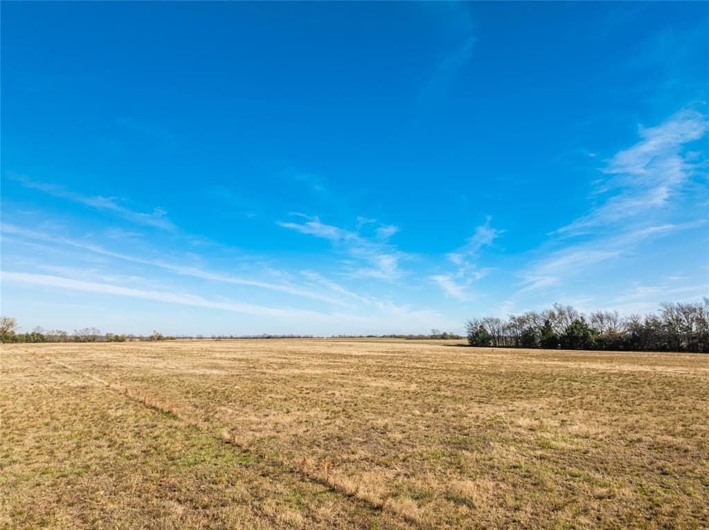 25 acres in Lamar County - photo 26
