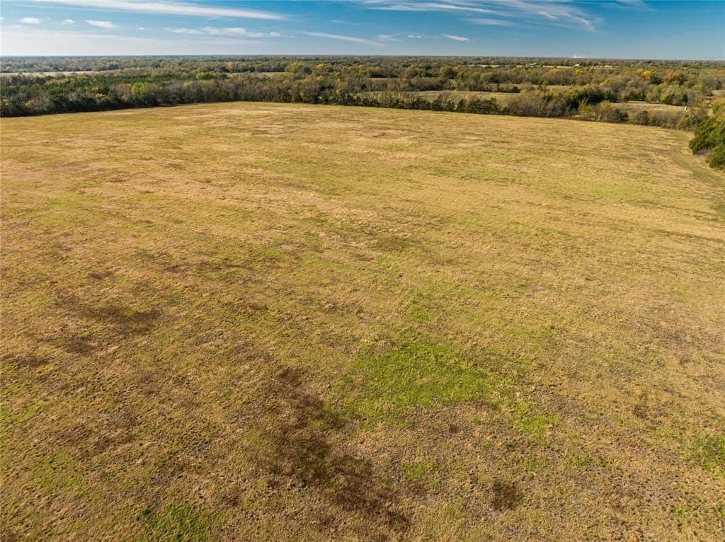 25 acres in Lamar County - photo 8