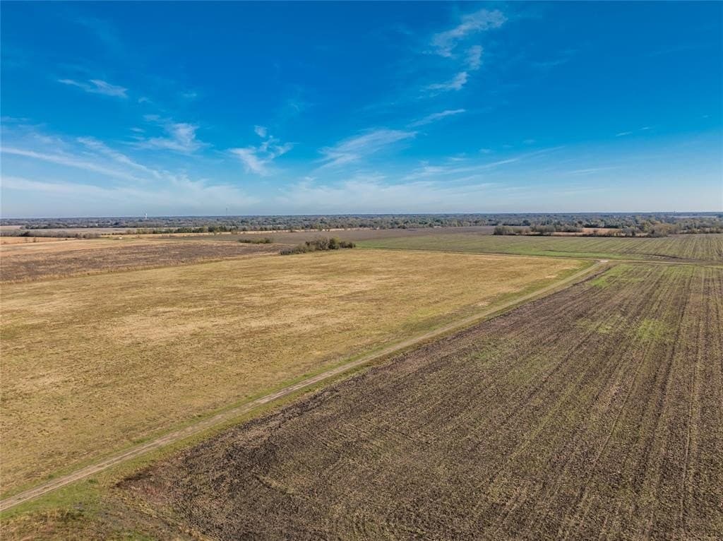 25 acres in Lamar County - photo 6