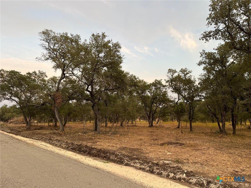 11.26 acres in Burnet County - photo 9