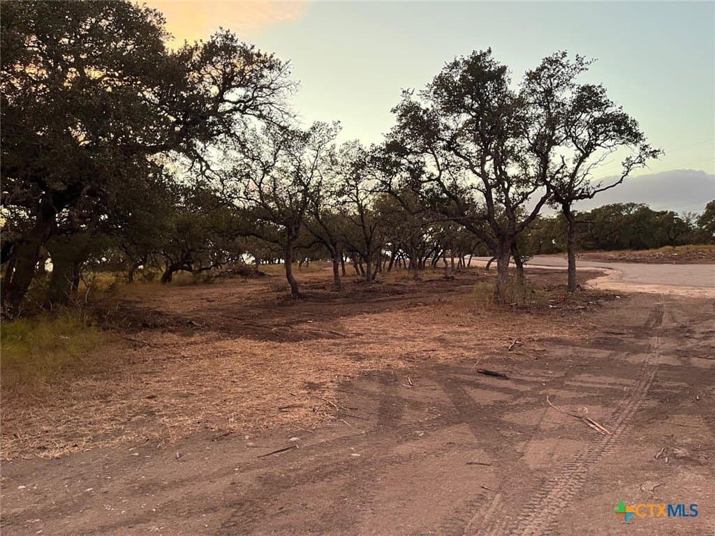 11.26 acres in Burnet County - photo 5