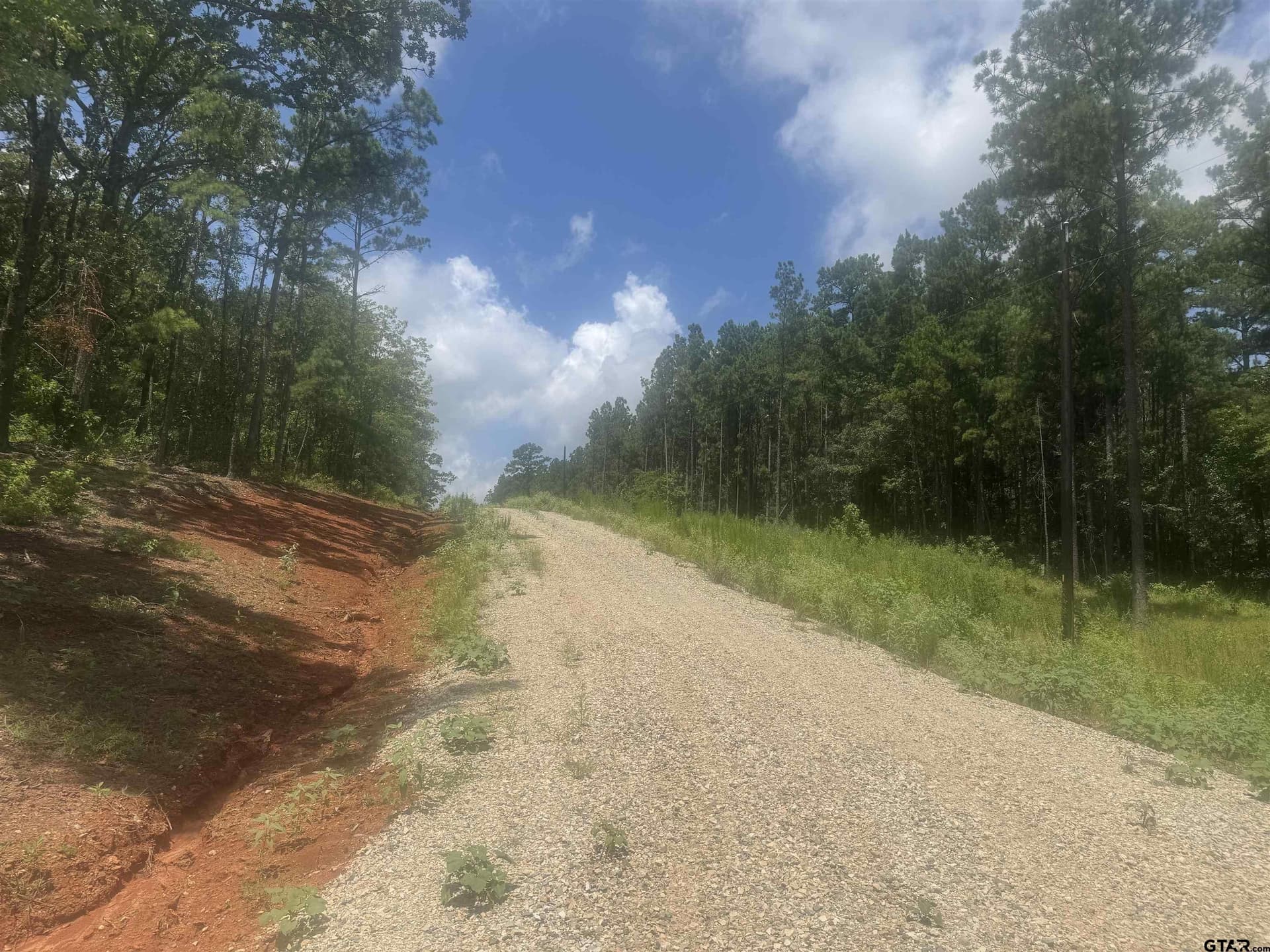 10.01 acres in Wood County - photo 3
