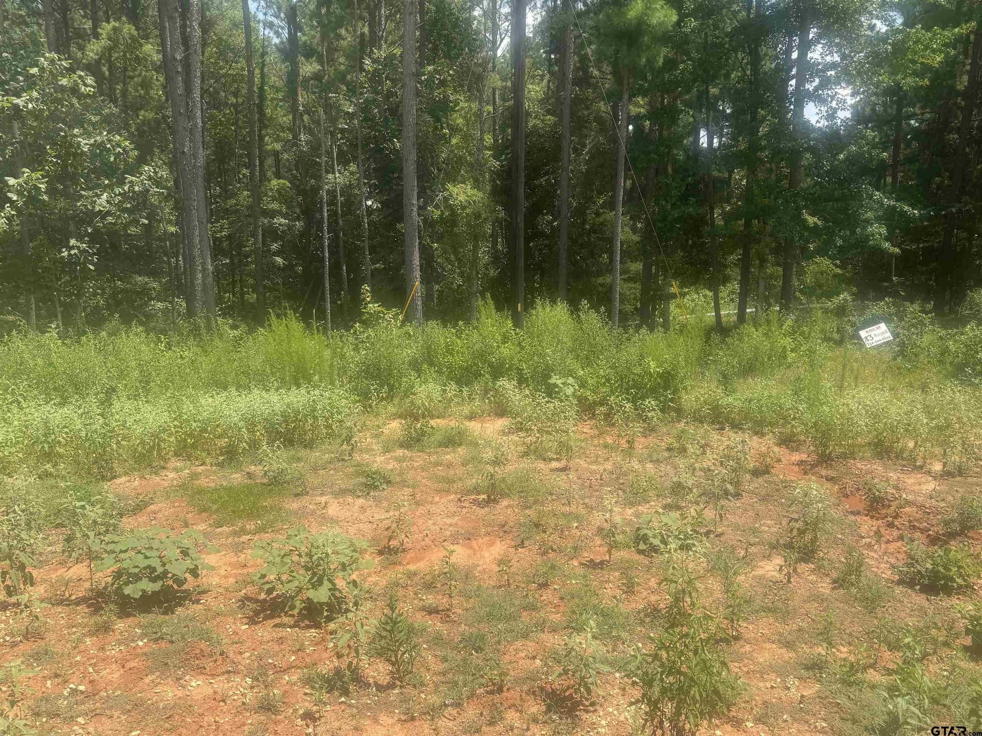 10.01 acres in Wood County - photo 2