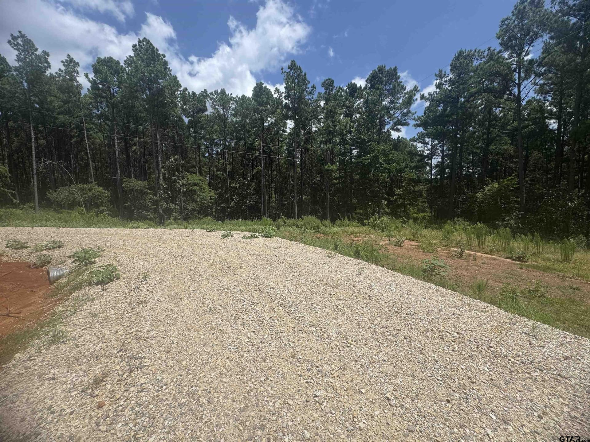 10.01 acres in Wood County - photo 6