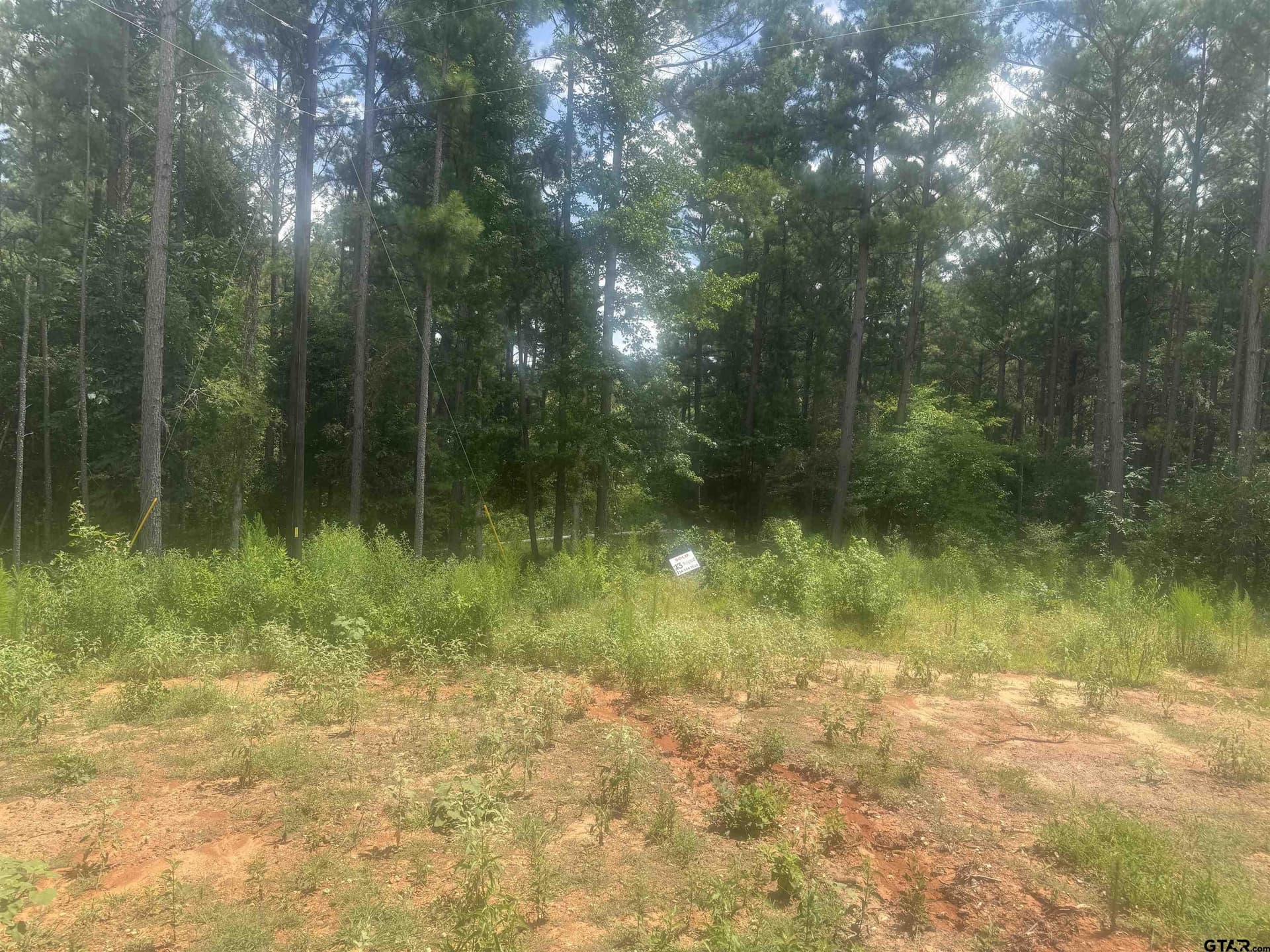 Lot 13 PR 7949