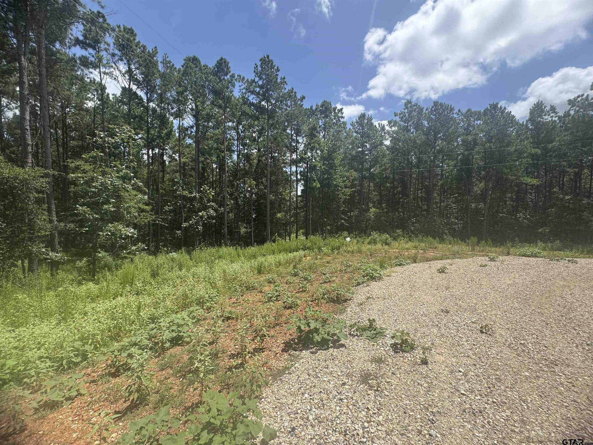 10.01 acres in Wood County - photo 5