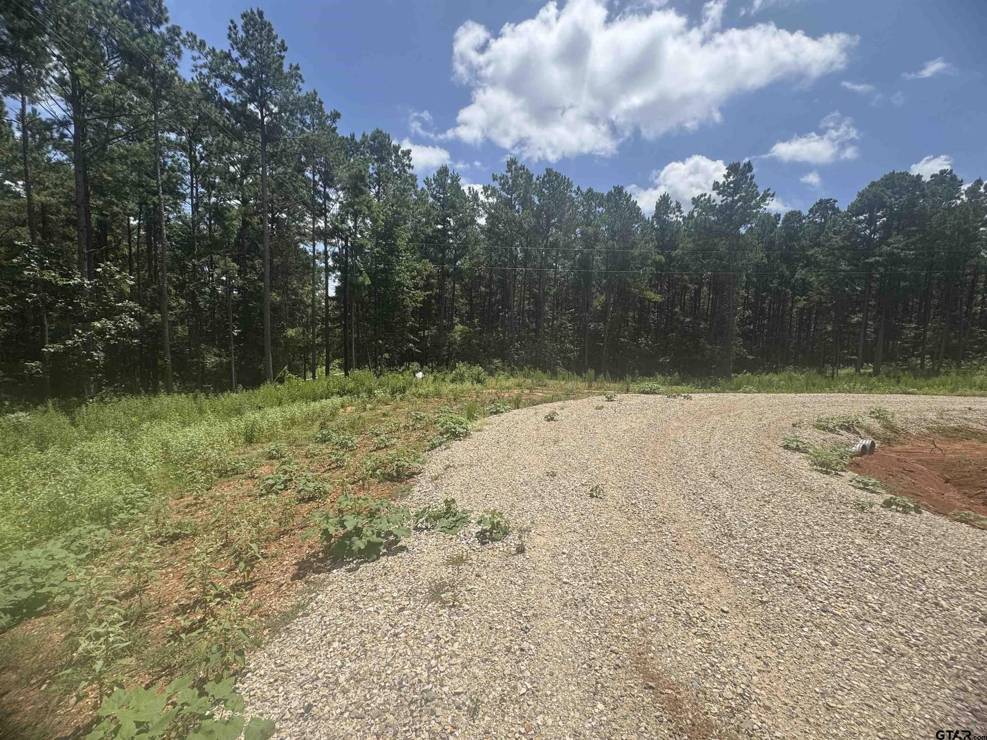 10.01 acres in Wood County - photo 4
